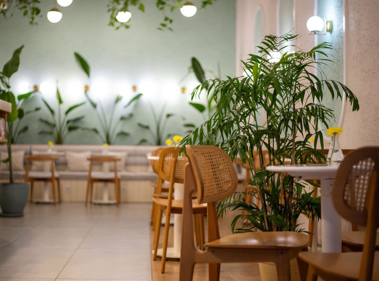 Lichte lunchroom met houten stoelen met rieten rugleuning, een palm en een mintgroene muur met bolle lampen