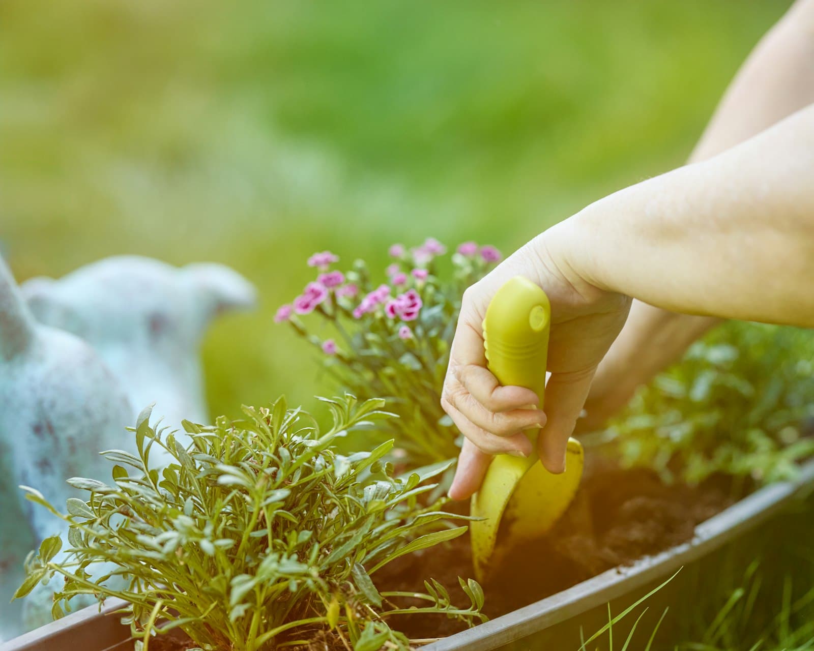 Een hand plant met een geel schepje grasanjers en grijsgroene planten in een metalen plantenbak