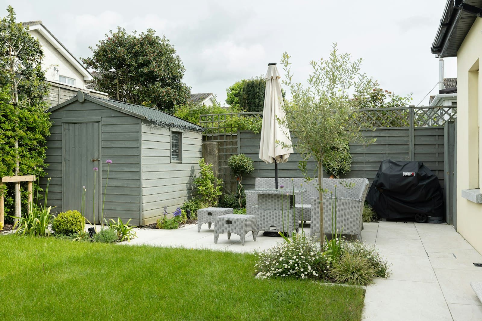 Terras van lichte tegels met grijze rieten tuinmeubels en een parasol, naast een gazon, een border met een olijfboompje en een grijsgroene schuur